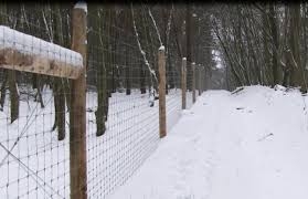 Вольєрне господарство