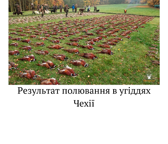 Програма реформування - "Блок Б" мисливські господарства (Частина 2)