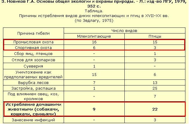 Бродячі собаки